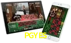 PGYES